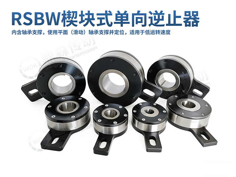 RSBW逆止器.jpg